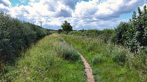 Icknield Way